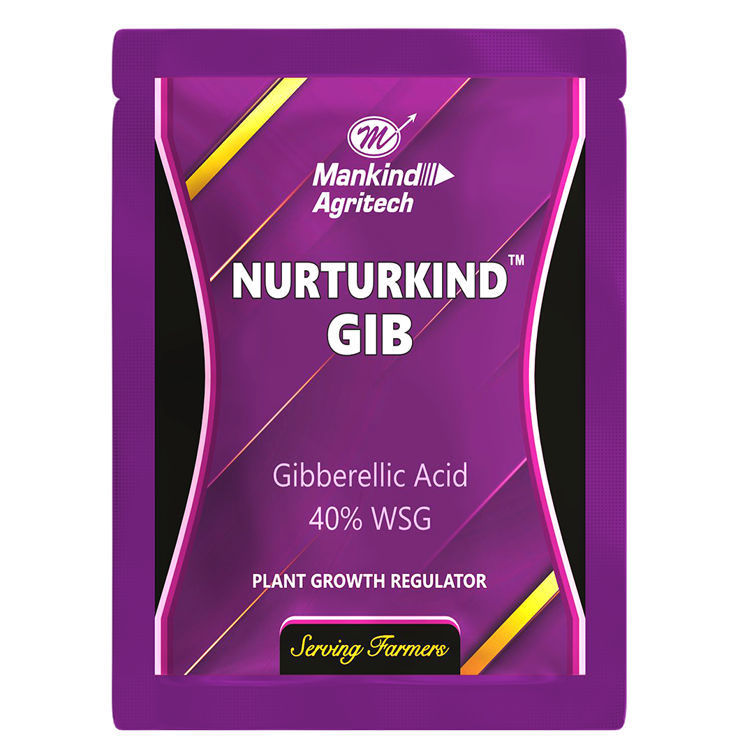 NURTURKIND - GIB