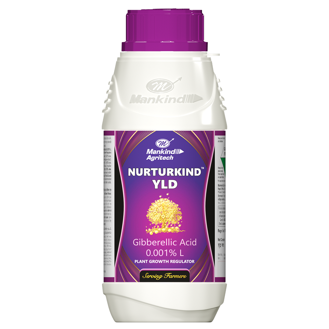NURTURKIND - YLD