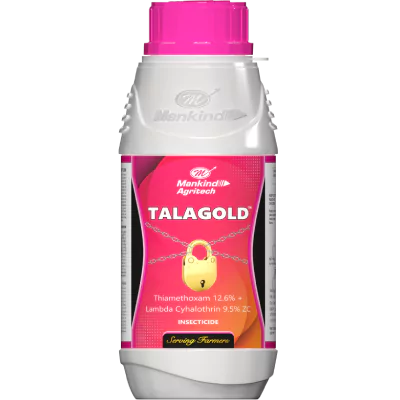 talagold