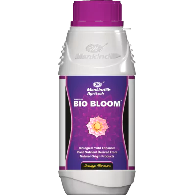 bio-bloom