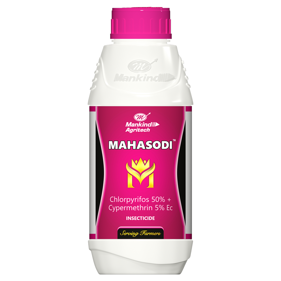 Mahasodi