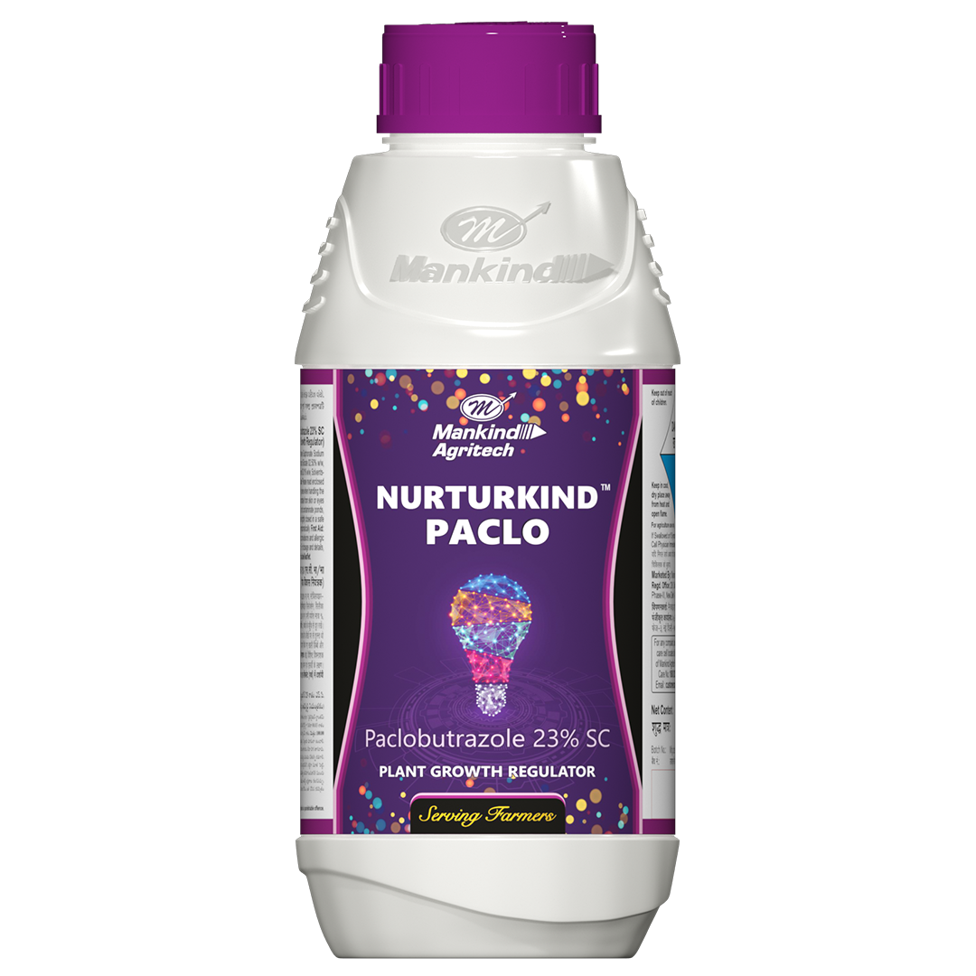 NURTURKIND - PACLO