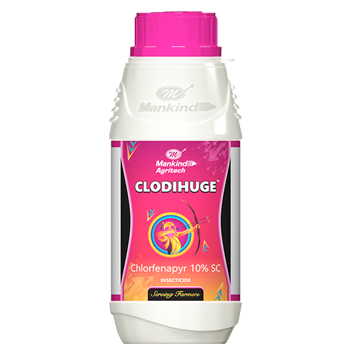 CLODIHUGE