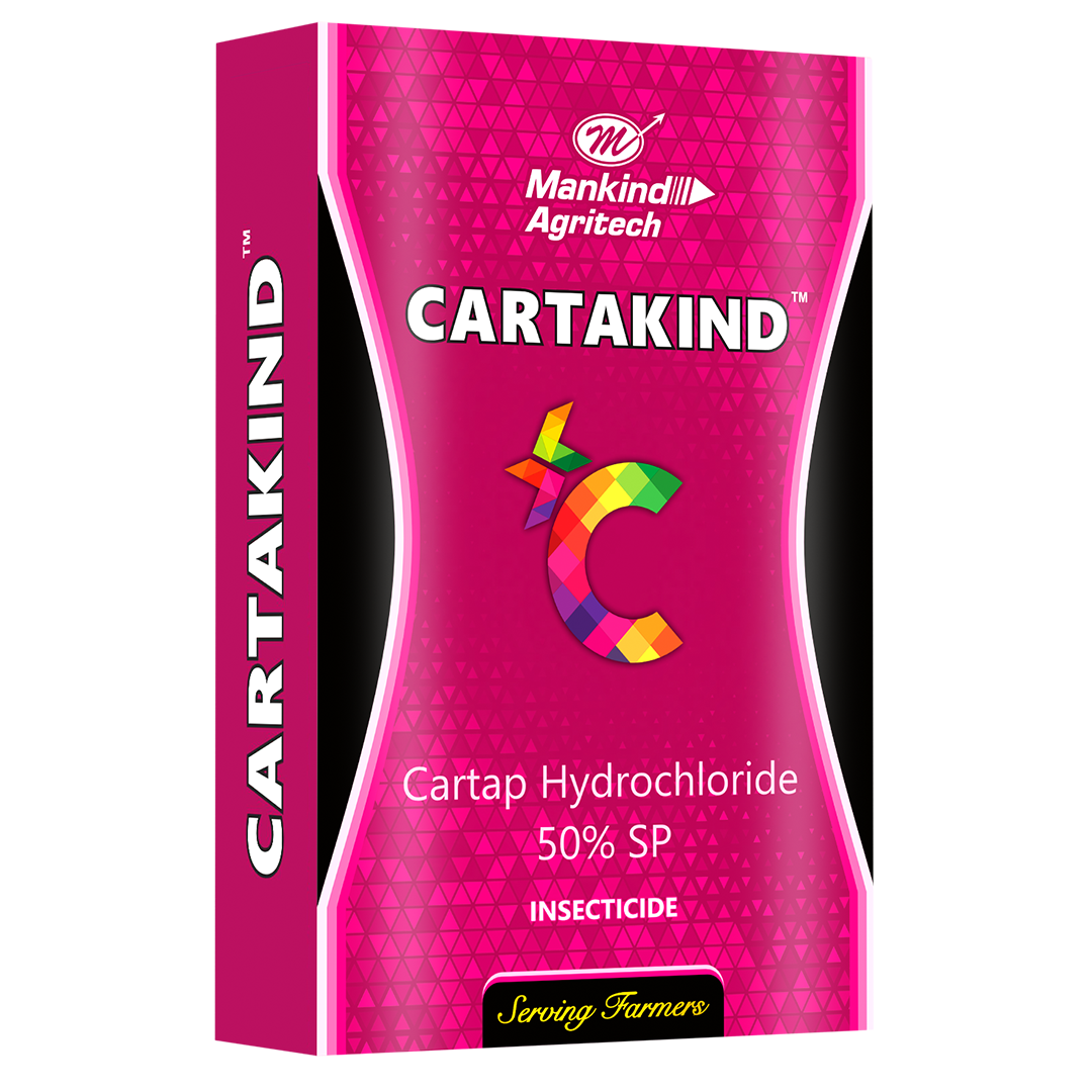 Carta Kind