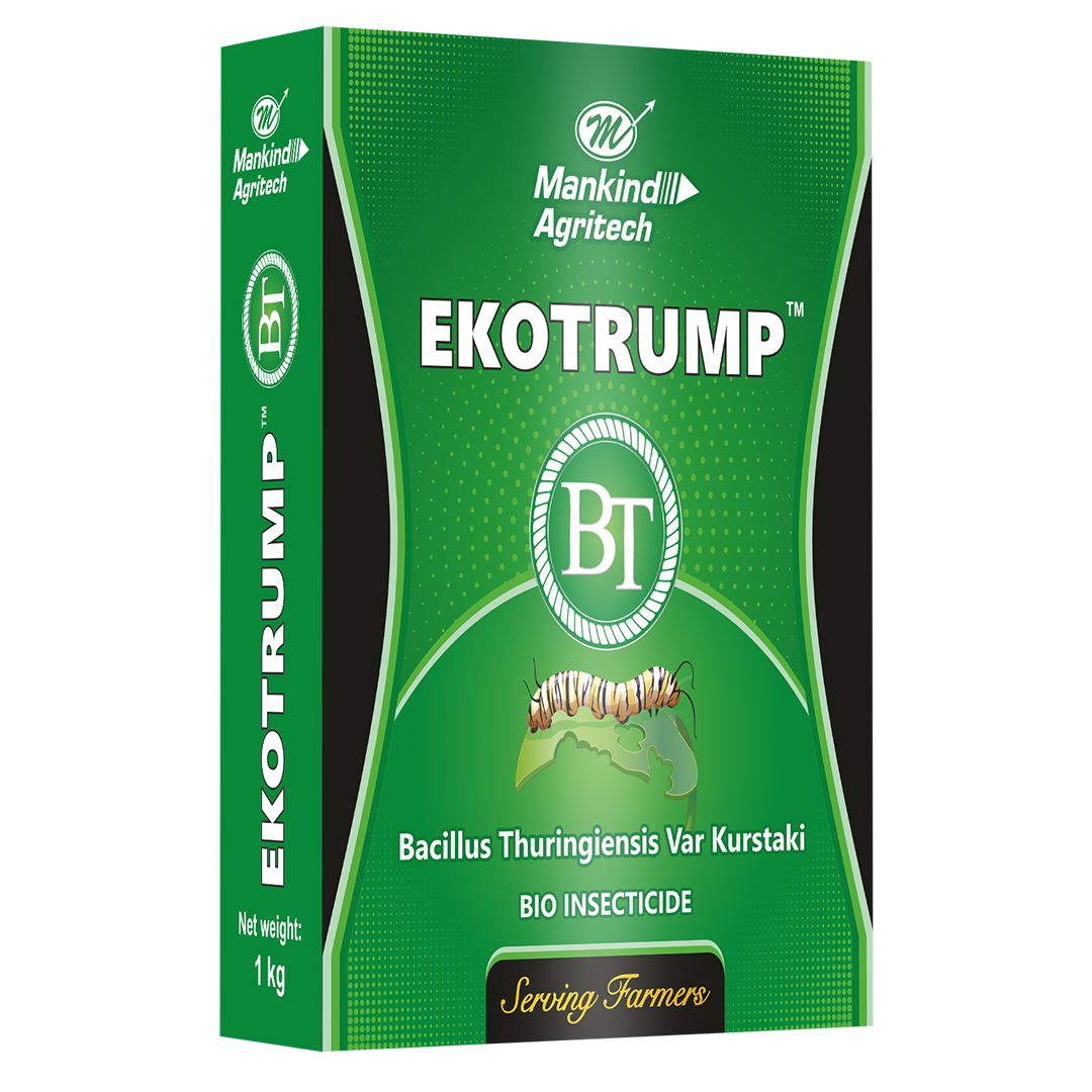 Ekotrump BT