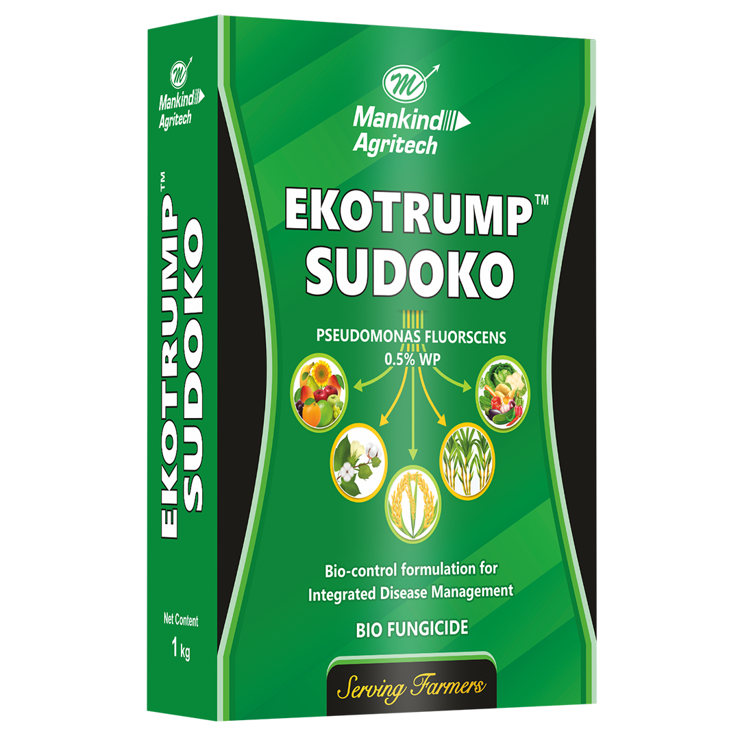 EKOTRUMP Sudoko