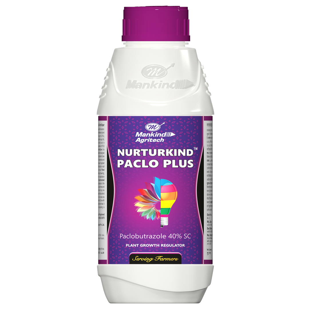 NURTURKIND PACLO PLUS