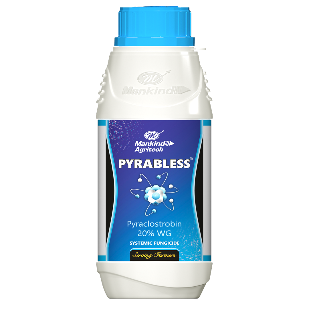 Pyrabless