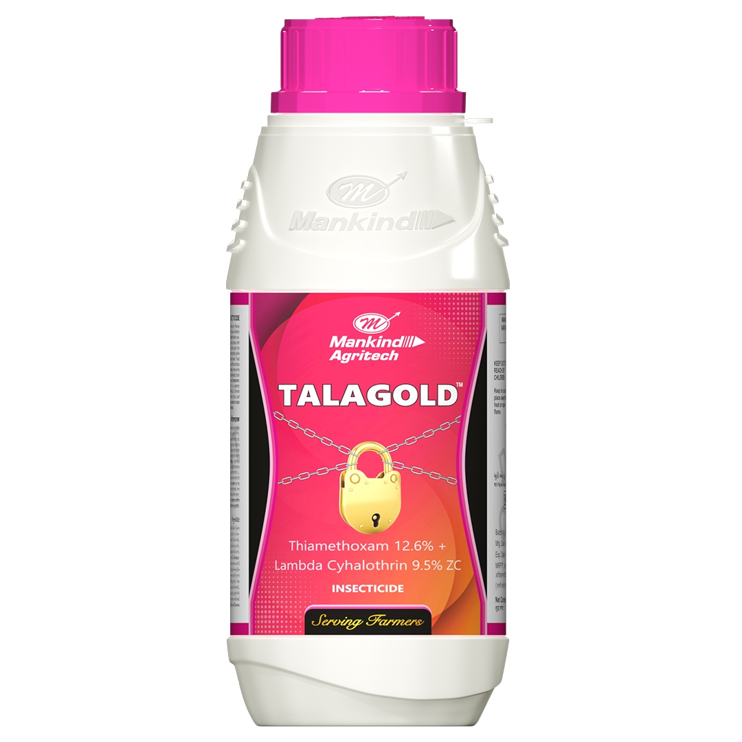 Talagold