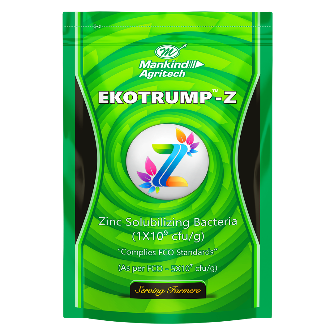 EKOTRUMP Z