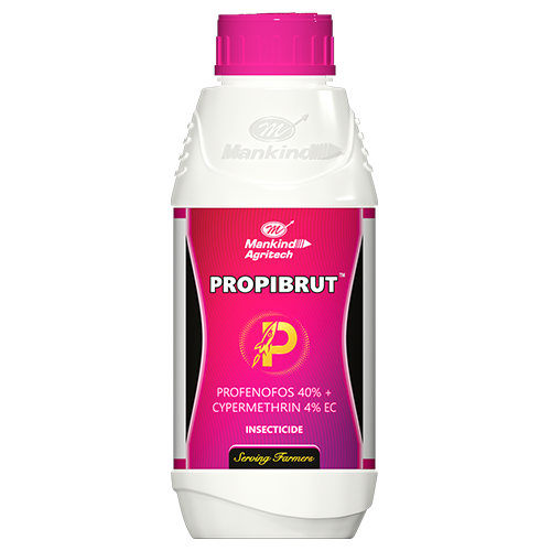 Propibrut