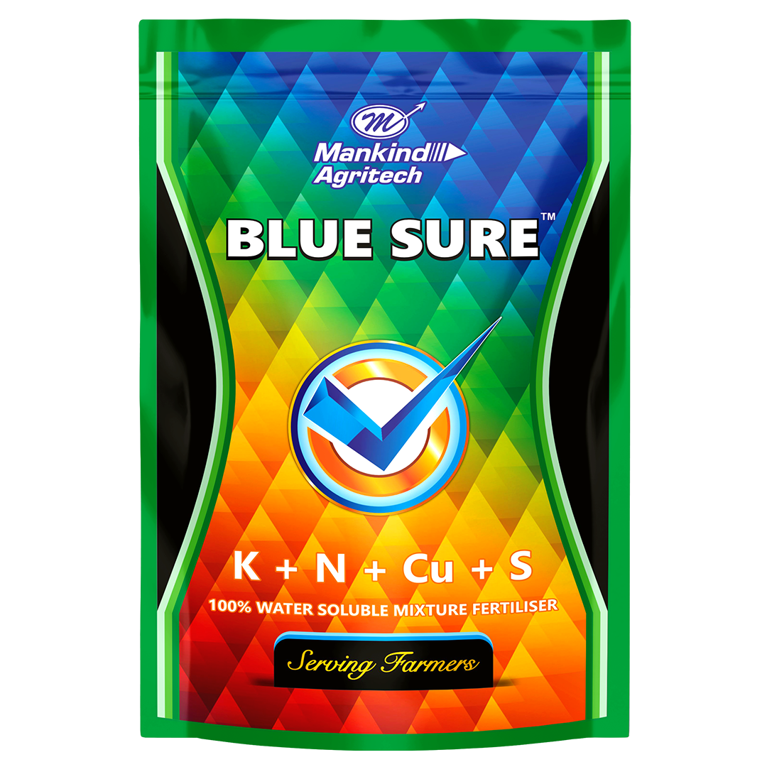 BLUE SURE