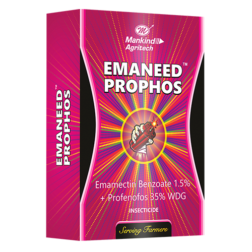 Emaneed Prophos