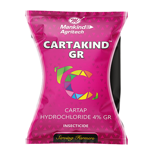 Cartakind GR