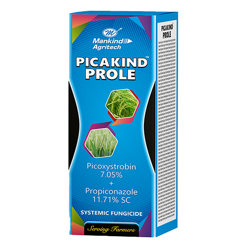PICAKIND PROLE