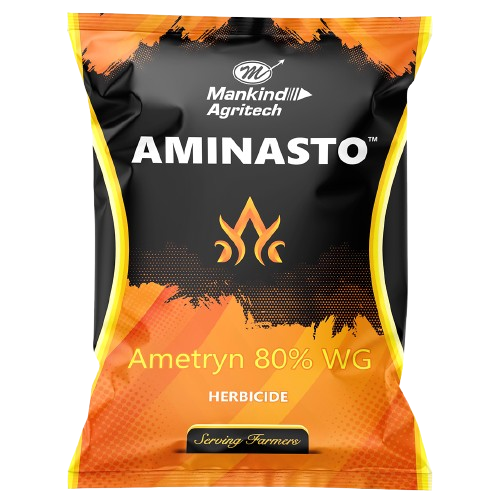 Aminasto