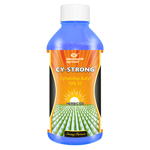 CY STRONG